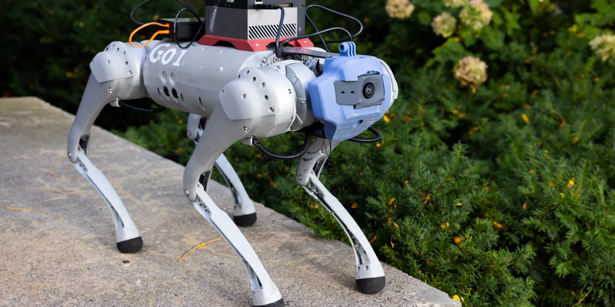 Parkour for robotic canines