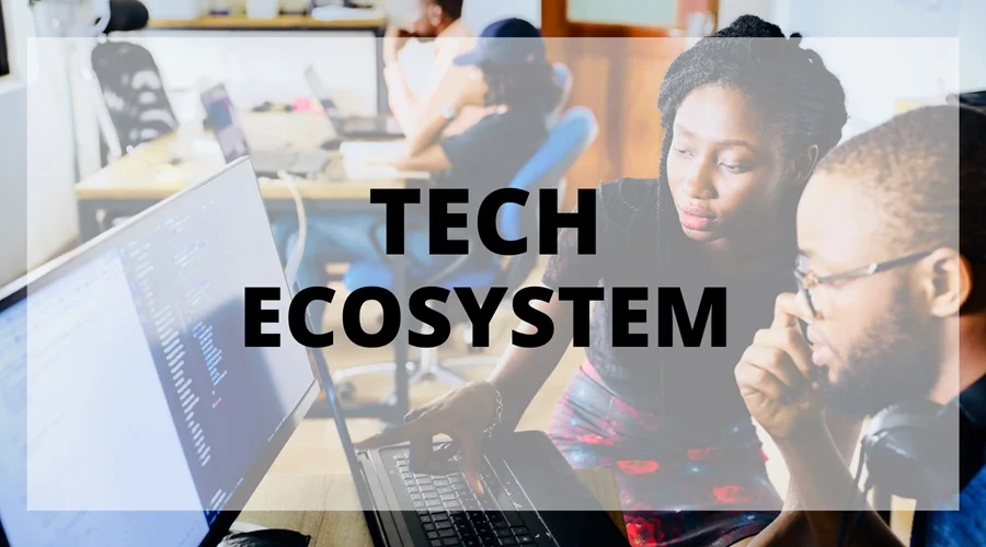 Tech Ecosystem 101